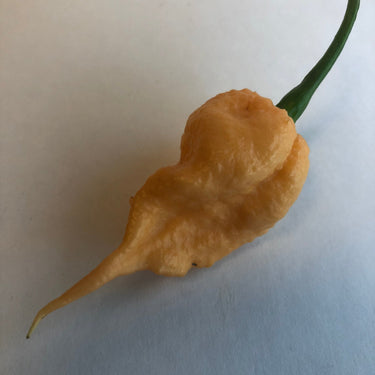 Peach Reaper (California Reaper) - Seeds - The Pepper Pantry (Formerly Marie Sharp's)